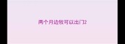 两个月边牧可以出门