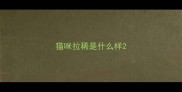 猫咪拉稀是什么样