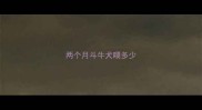 两个月斗牛犬喂多少