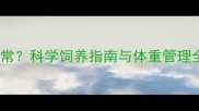 两岁哈士奇体重多少正常科学饲养指南与体重管理全攻略附标准数据