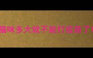猫咪多大就不能打疫苗了