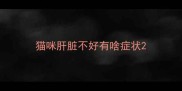 猫咪肝脏不好有啥症状