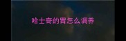 哈士奇的胃怎么调养
