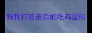 狗狗打疫苗后能吃鸡蛋吗