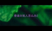 泰迪太粘人怎么办
