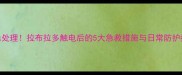 紧急处理拉布拉多触电后的5大急救措施与日常防护指南