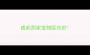 成都那家宠物医院好