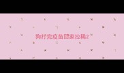 狗打完疫苗回家拉稀