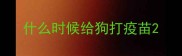 什么时候给狗打疫苗
