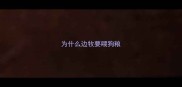 为什么边牧要喂狗粮