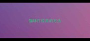 猫咪打疫苗的方法