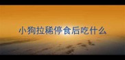 小狗拉稀停食后吃什么