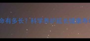 拉布拉多犬寿命有多长科学养护延长健康寿命的五大秘诀