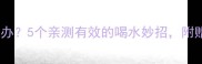 狗狗不爱喝水怎么办5个亲测有效的喝水妙招附赠超全养水指南