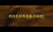 奶白色拉布拉多不纯吧