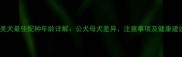 博美犬最佳配种年龄详解公犬母犬差异注意事项及健康建议