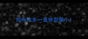 拉布拉多一直体型偏小