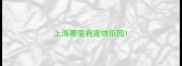 上海哪里有宠物乐园