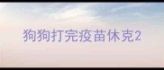 狗狗打完疫苗休克
