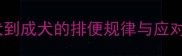 哈士奇憋便时间表从幼犬到成犬的排便规律与应对策略附科学训练指南
