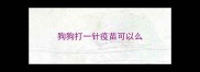 狗狗打一针疫苗可以么
