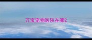 万宝宠物医院在哪