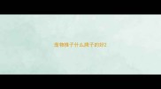 宠物推子什么牌子的好
