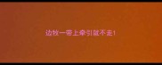 边牧一带上牵引就不走