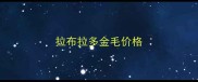 拉布拉多金毛价格