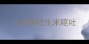 小狗偷吃生米呕吐