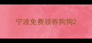 宁波免费领养狗狗