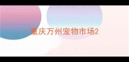重庆万州宠物市场