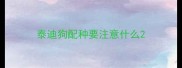 泰迪狗配种要注意什么