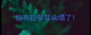 拉布拉多耳朵塌了
