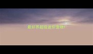 最好养超级迷你宠物