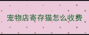 宠物店寄存猫怎么收费