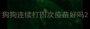 狗狗连续打四次疫苗好吗