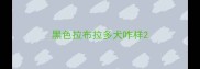 黑色拉布拉多犬咋样