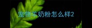 宠物羊奶粉怎么样