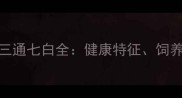 边境牧羊犬标准三通七白全健康特征饲养指南与美容标准