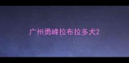 广州勇峰拉布拉多犬