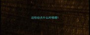 边牧幼犬什么时候喂