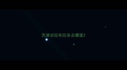 天津买拉布拉多去哪里