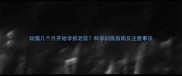 幼猫几个月开始学抓老鼠科学训练指南及注意事项