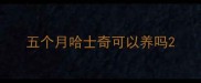 五个月哈士奇可以养吗