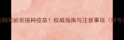 狗狗服药期间能否接种疫苗权威指南与注意事项附专业建议