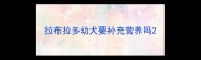 拉布拉多幼犬要补充营养吗