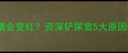 猫咪生气时眼睛会变红资深铲屎官5大原因和化解妙招