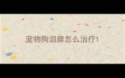 宠物狗泪腺怎么治疗