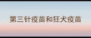 第三针疫苗和狂犬疫苗